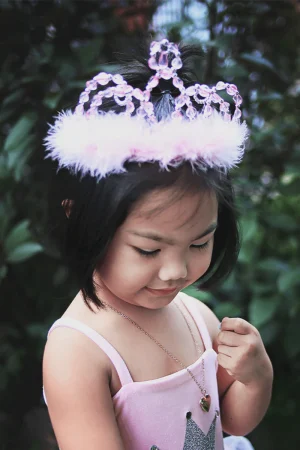 Roze en zilveren prinses tiara
