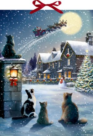 Kattenkerst