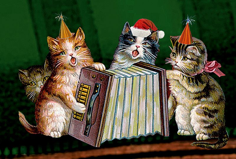 Katten bij het raam - Afbeelding 3